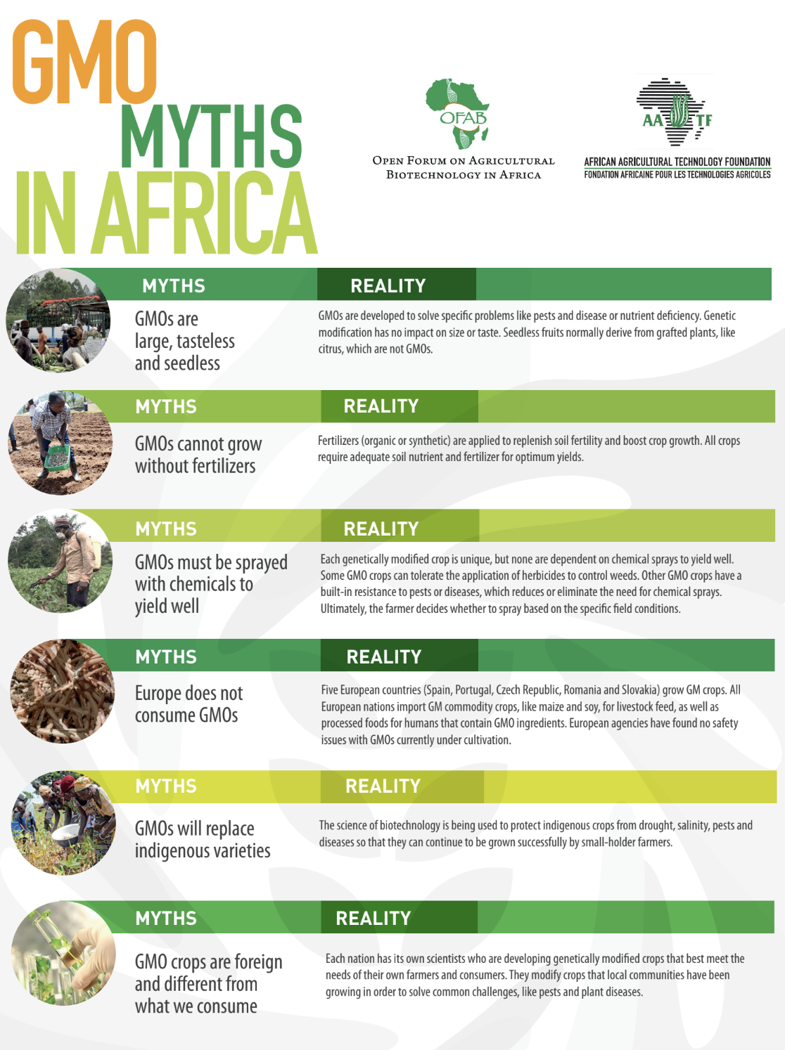 GMO Myths in Africa